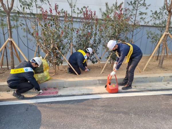 ▲대한건설기계안전관리원 광주검사소 직원이 환경보호 캠페인의 일환으로 주변 길거리에 버리진 쓰레기를 줍고 있다./제공=대한건설기계안전관리원