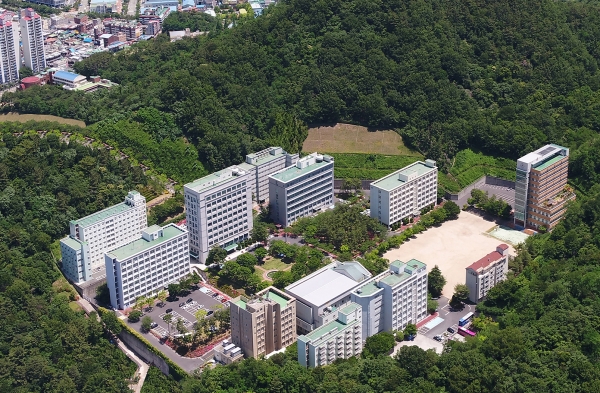 창신대학교 전경/사진=부영